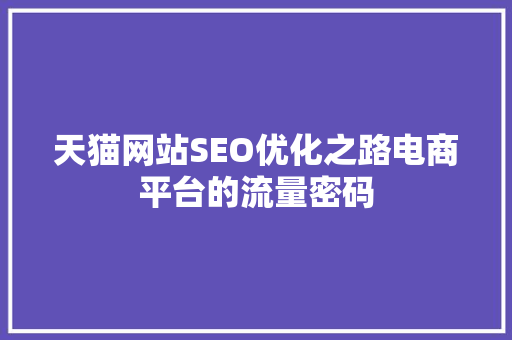天猫网站SEO优化之路电商平台的流量密码