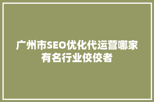 广州市SEO优化代运营哪家有名行业佼佼者