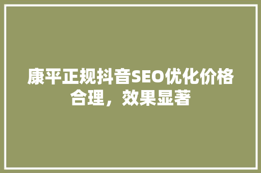 康平正规抖音SEO优化价格合理，效果显著