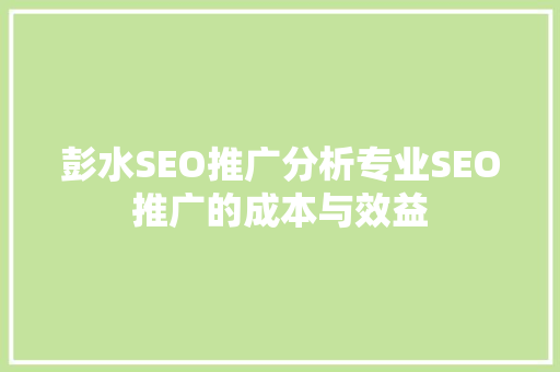 彭水SEO推广分析专业SEO推广的成本与效益