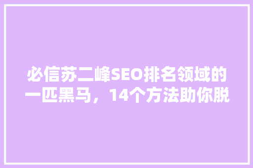 必信苏二峰SEO排名领域的一匹黑马，14个方法助你脱颖而出
