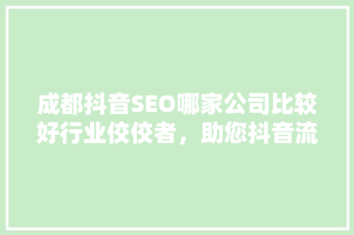 成都抖音SEO哪家公司比较好行业佼佼者，助您抖音流量翻倍