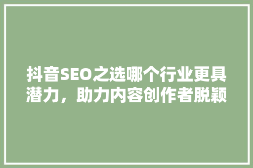 抖音SEO之选哪个行业更具潜力，助力内容创作者脱颖而出