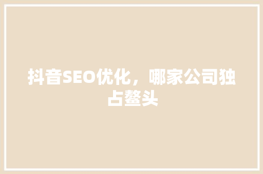 抖音SEO优化，哪家公司独占鳌头