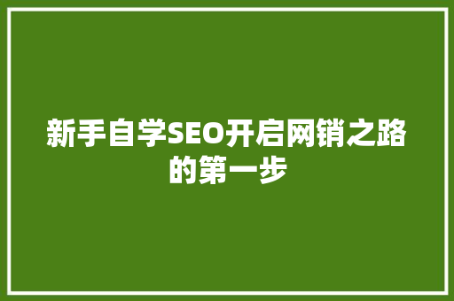 新手自学SEO开启网销之路的第一步