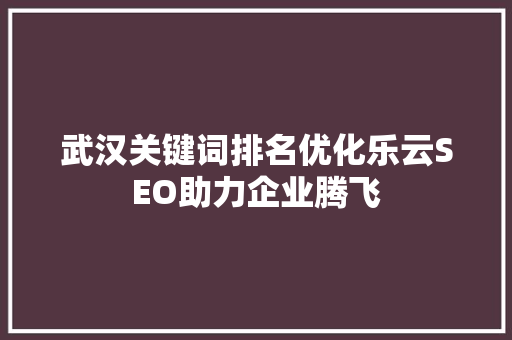 武汉关键词排名优化乐云SEO助力企业腾飞