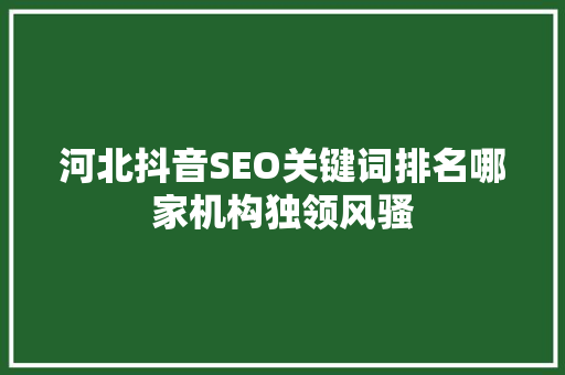 河北抖音SEO关键词排名哪家机构独领风骚