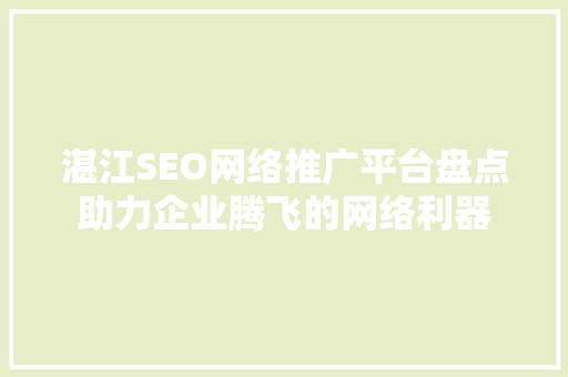 湛江SEO网络推广平台盘点助力企业腾飞的网络利器