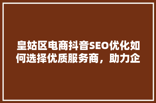 皇姑区电商抖音SEO优化如何选择优质服务商，助力企业腾飞