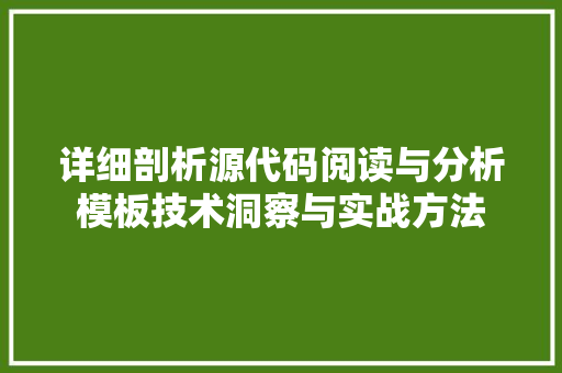 详细剖析源代码阅读与分析模板技术洞察与实战方法
