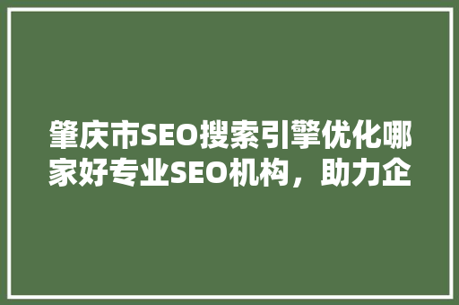 肇庆市SEO搜索引擎优化哪家好专业SEO机构，助力企业腾飞