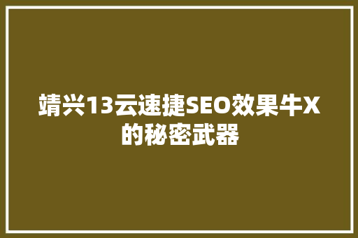 靖兴13云速捷SEO效果牛X的秘密武器