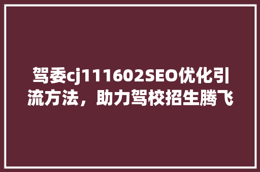 驾委cj111602SEO优化引流方法，助力驾校招生腾飞