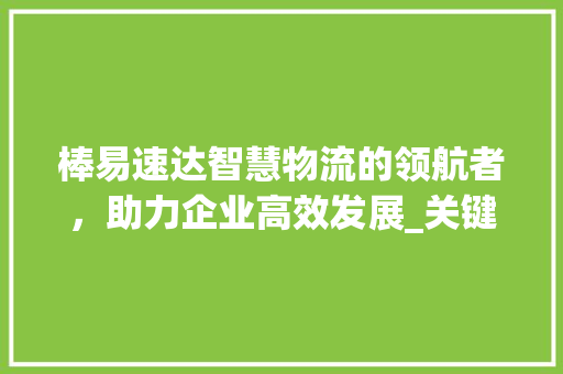 棒易速达智慧物流的领航者，助力企业高效发展_关键词优化好棒易速达