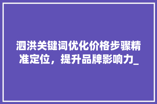 泗洪关键词优化价格步骤精准定位，提升品牌影响力_泗洪关键词优化价格