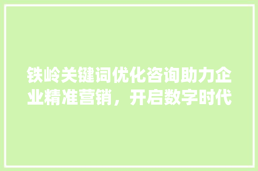 铁岭关键词优化咨询助力企业精准营销，开启数字时代新篇章_铁岭关键词优化咨询