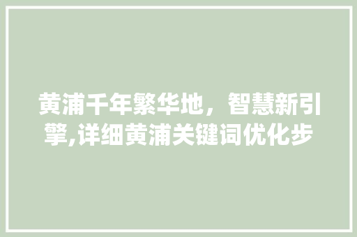 黄浦千年繁华地，智慧新引擎,详细黄浦关键词优化步骤_黄浦网站关键词优化  第1张