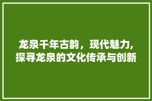 龙泉千年古韵，现代魅力,探寻龙泉的文化传承与创新之路_龙泉关键词快速优化