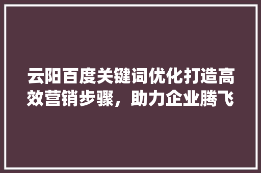 云阳百度关键词优化打造高效营销步骤，助力企业腾飞_云阳百度关键词优化