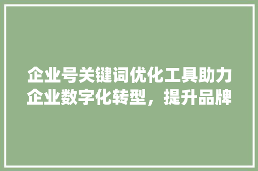 企业号关键词优化工具助力企业数字化转型，提升品牌影响力_企业号关键词优化工具