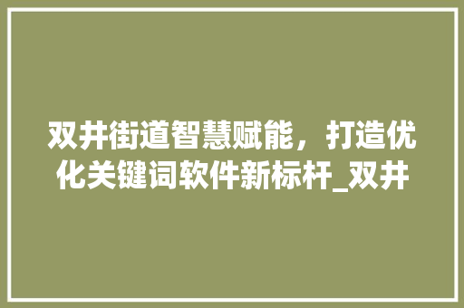 双井街道智慧赋能，打造优化关键词软件新标杆_双井街道优化关键词软件