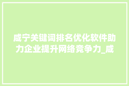 咸宁关键词排名优化软件助力企业提升网络竞争力_咸宁关键词排名优化软件