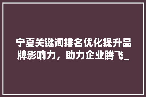 宁夏关键词排名优化提升品牌影响力，助力企业腾飞_宁夏关键词排名优化项目