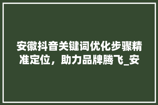 安徽抖音关键词优化步骤精准定位，助力品牌腾飞_安徽抖音关键词优化方法