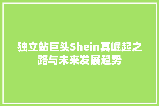 独立站巨头Shein其崛起之路与未来发展趋势