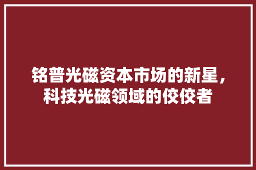 铭普光磁资本市场的新星，科技光磁领域的佼佼者