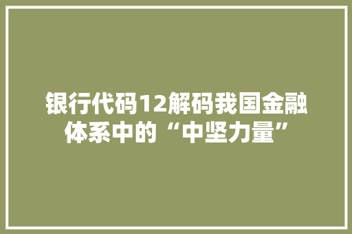 银行代码12解码我国金融体系中的“中坚力量”