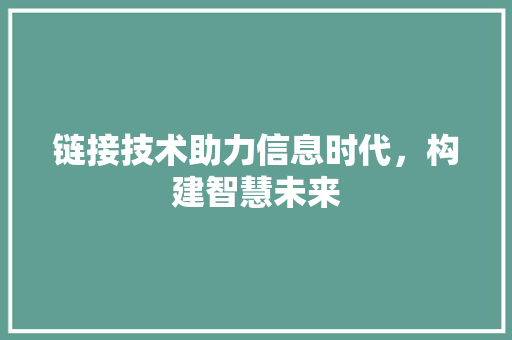 链接技术助力信息时代，构建智慧未来