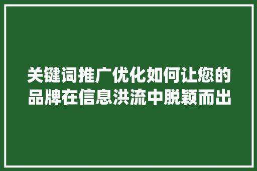 关键词推广优化如何让您的品牌在信息洪流中脱颖而出_关键词推广优化有效吗
