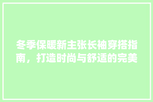 冬季保暖新主张长袖穿搭指南，打造时尚与舒适的完美融合_冬装长袖关键词优化方法