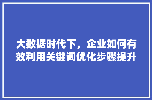 大数据时代下，企业如何有效利用关键词优化步骤提升竞争力_大关关键词优化