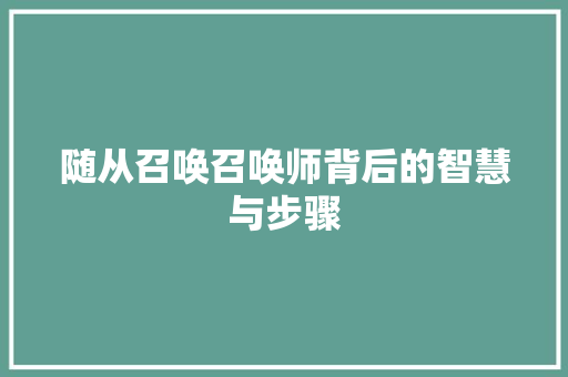 随从召唤召唤师背后的智慧与步骤
