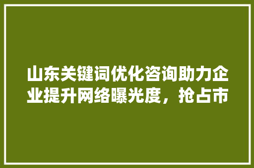 山东关键词优化咨询助力企业提升网络曝光度，抢占市场先机_山东关键词优化咨询
