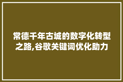 常德千年古城的数字化转型之路,谷歌关键词优化助力城市发展_常德谷歌关键词优化