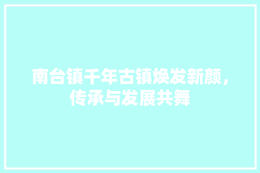 南台镇千年古镇焕发新颜，传承与发展共舞