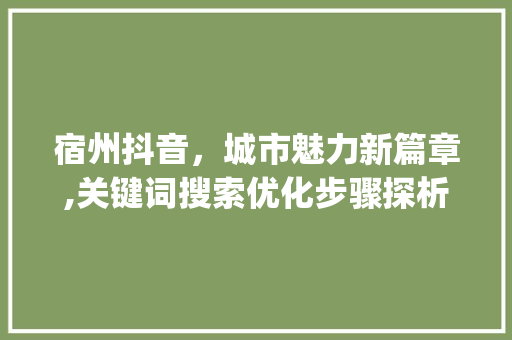 宿州抖音，城市魅力新篇章,关键词搜索优化步骤探析_宿州抖音搜索关键词优化