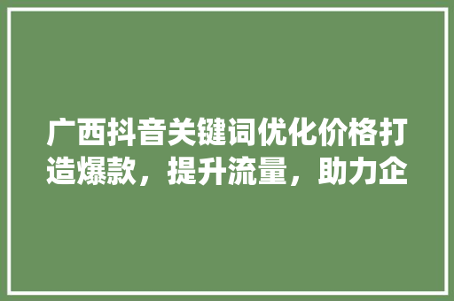 广西抖音关键词优化价格打造爆款，提升流量，助力企业腾飞_广西抖音关键词优化价格