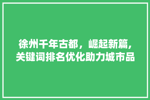 徐州千年古都，崛起新篇,关键词排名优化助力城市品牌崛起_徐州关键词排名优化报名