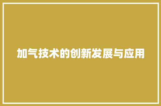 加气技术的创新发展与应用  第1张