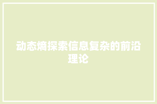 动态熵探索信息复杂的前沿理论