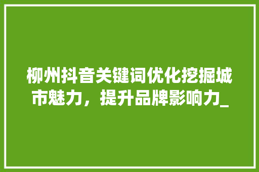 柳州抖音关键词优化挖掘城市魅力，提升品牌影响力_柳州抖音关键词优化项目