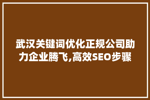 武汉关键词优化正规公司助力企业腾飞,高效SEO步骤_武汉关键词优化正规公司