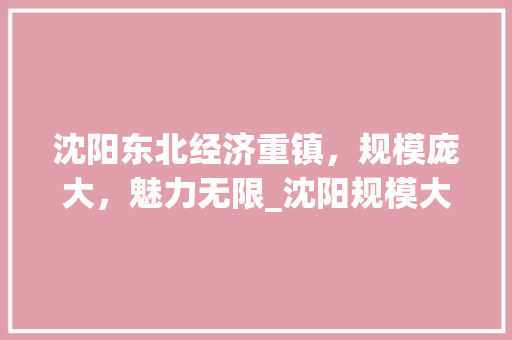 沈阳东北经济重镇，规模庞大，魅力无限_沈阳规模大的关键词优化