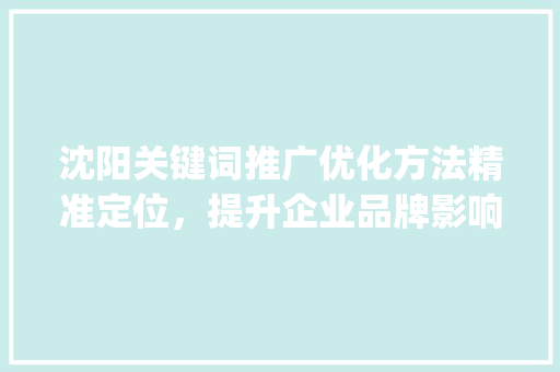 沈阳关键词推广优化方法精准定位，提升企业品牌影响力_沈阳关键词推广优化方法