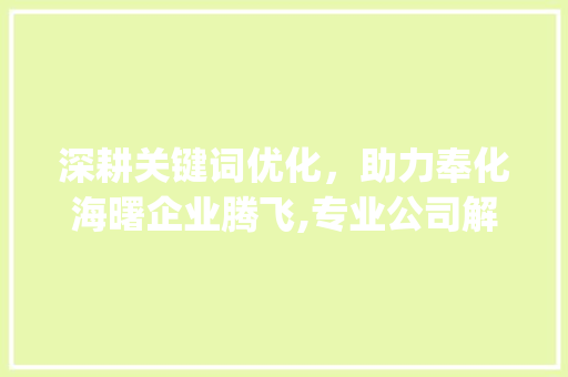 深耕关键词优化，助力奉化海曙企业腾飞,专业公司解读关键词优化之路_奉化海曙关键词优化公司