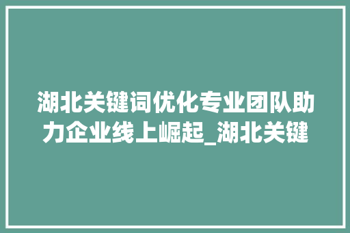 湖北关键词优化专业团队助力企业线上崛起_湖北关键词优化哪家专业